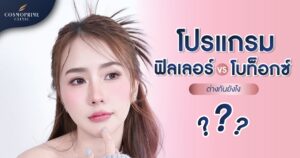 โปรแกรมฟิลเลอร์